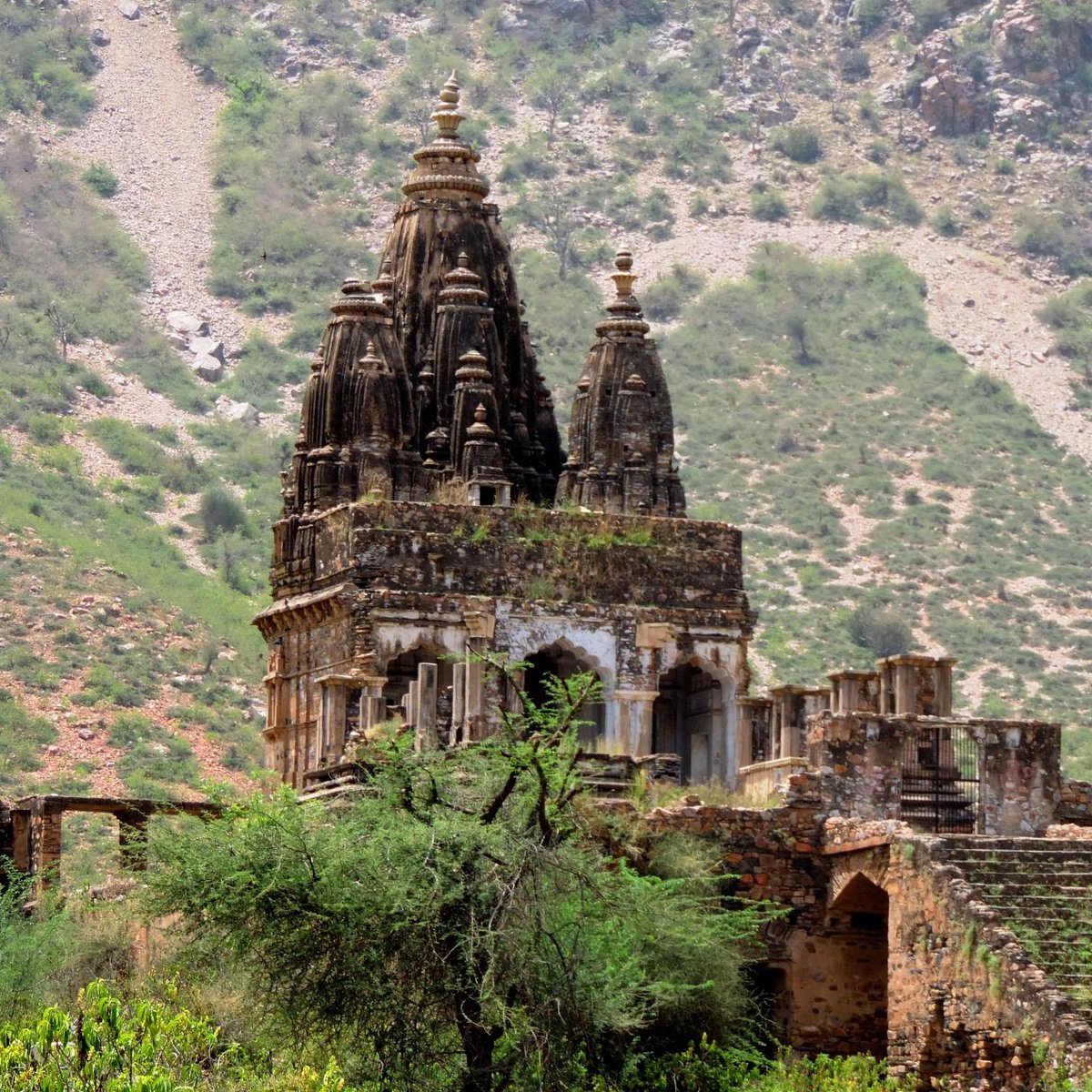 The Royal Enfield Odyssey: A Rajasthani Motorcycle Expedition