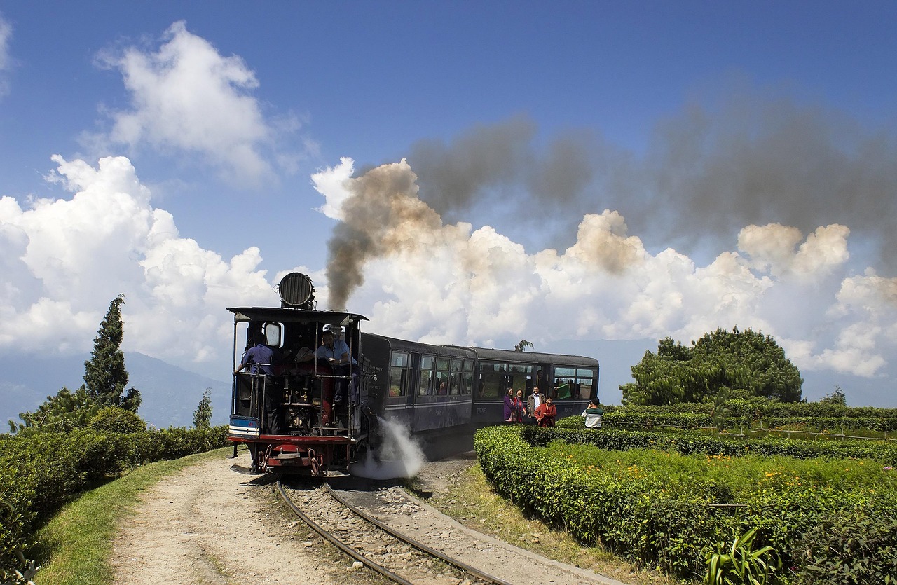 A Darjeeling Himalayan Railway steam locomotive climbing through the tea gardens