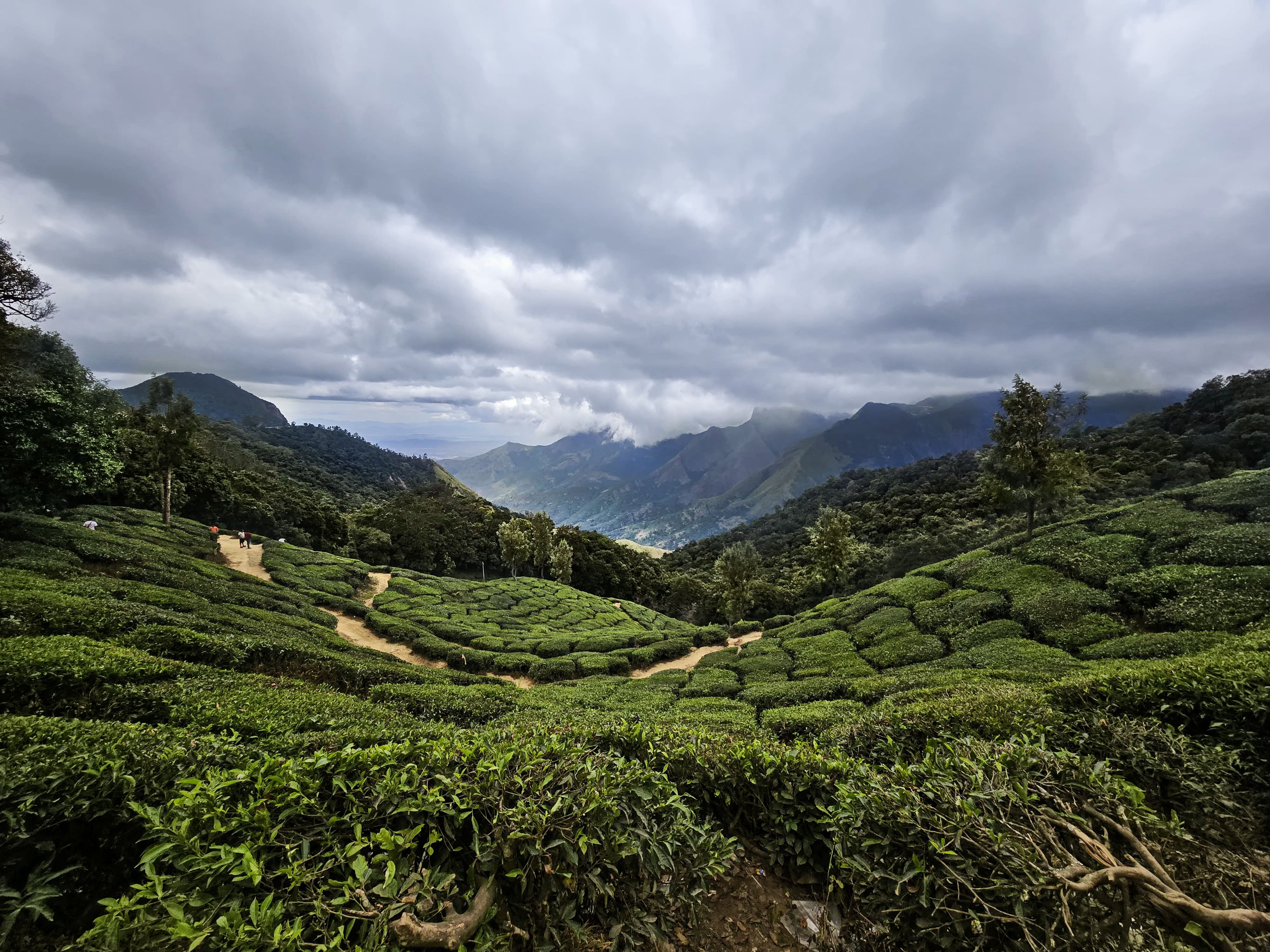 Munnar — Kerala