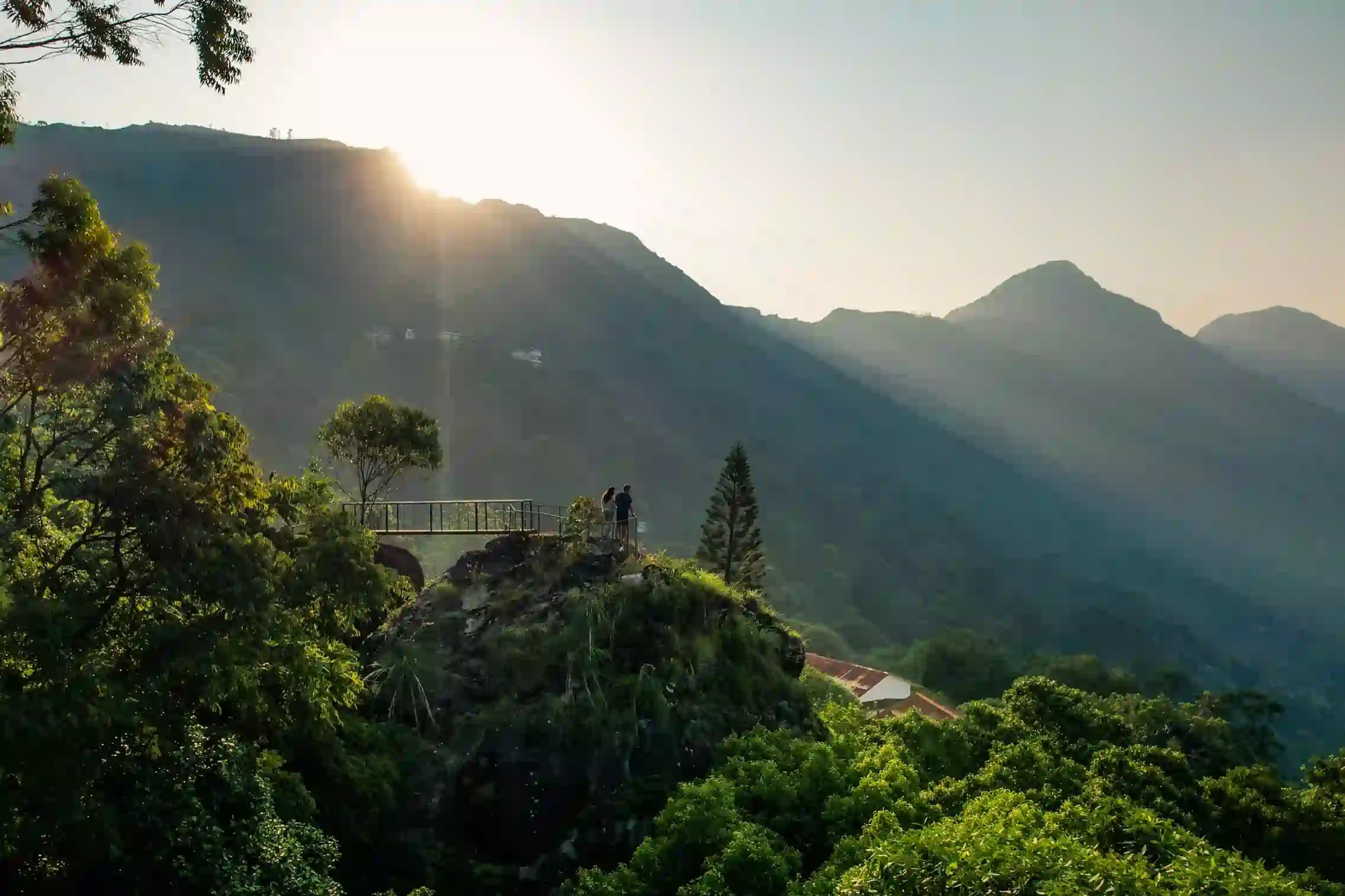 Windermere Estate — Munnar, Kerala