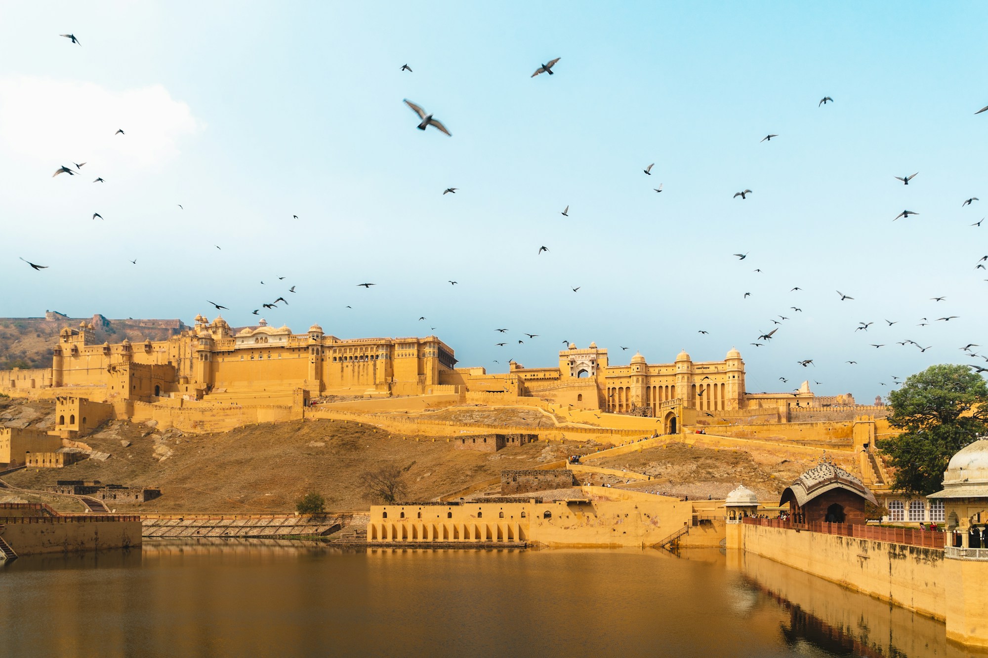 Amber Fort — Jaipur, Rajasthan