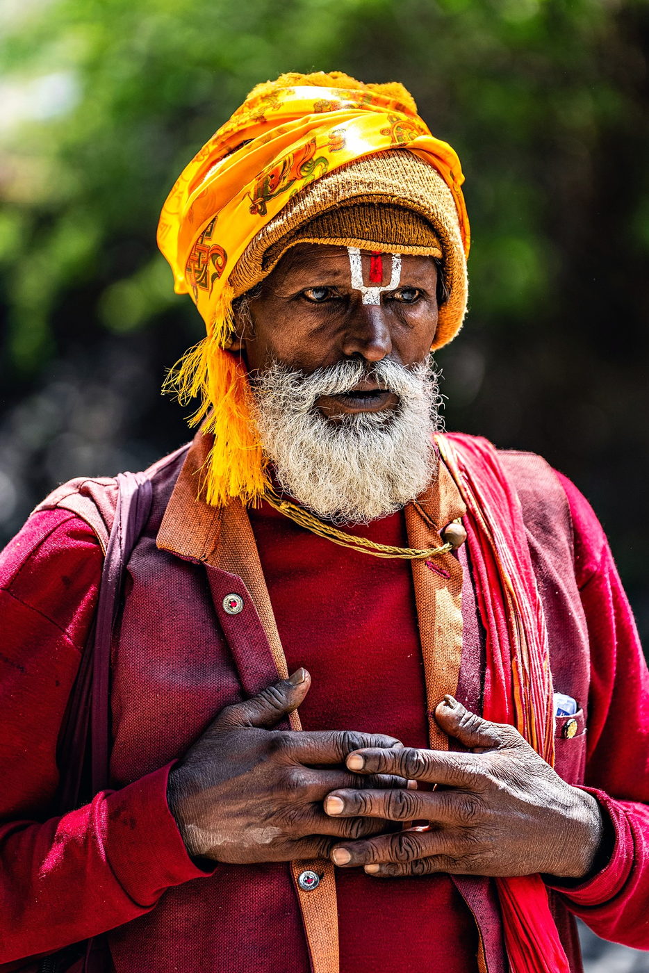 Portrait of a Rajasthani man in a vivid turban